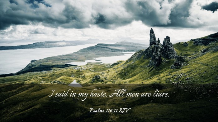 Picture 03 - Psalms 116:11 KJV Desktop Wallpaper - I said in my haste, All men are - Desktop Bible Verse Wallpaper