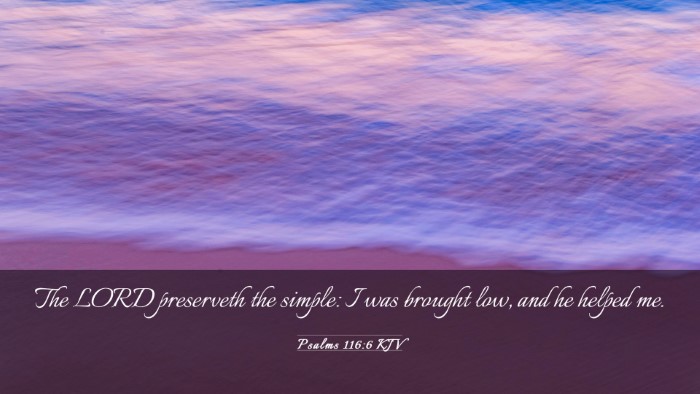 Picture 03 - Psalms 116:6 KJV Desktop Wallpaper - The LORD preserveth the simple: I was brought - Desktop Bible Verse Wallpaper