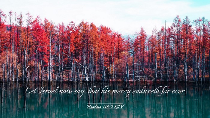 Picture 03 - Psalms 118:2 KJV Desktop Wallpaper - Let Israel now say, that his mercy endureth for - Desktop Bible Verse Wallpaper