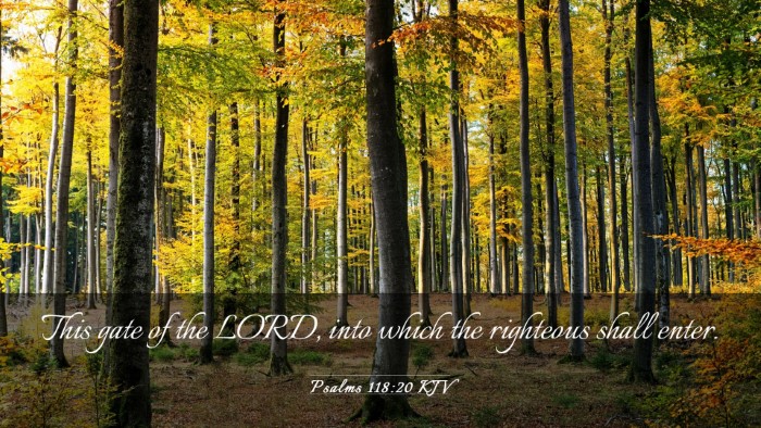 Picture 03 - Psalms 118:20 KJV Desktop Wallpaper - This gate of the LORD, into which the righteous - Desktop Bible Verse Wallpaper