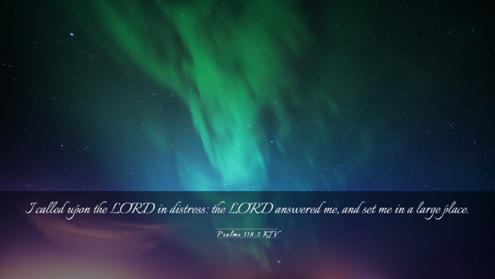 Picture 03 - Psalms 118:5 KJV Desktop Wallpaper - I called upon the LORD in distress: the LORD - Desktop Bible Verse Wallpaper