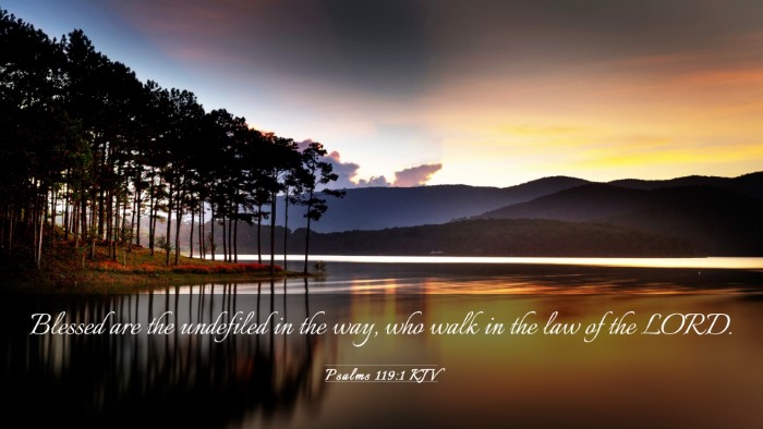 Picture 03 - Psalms 119:1 KJV Desktop Wallpaper - Blessed are the undefiled in the way, who walk in - Desktop Bible Verse Wallpaper