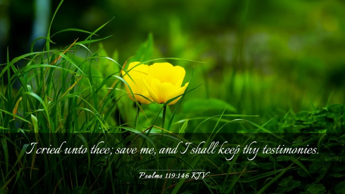 Picture 03 - Psalms 119:146 KJV Desktop Wallpaper - I cried unto thee; save me, and I shall keep thy - Desktop Bible Verse Wallpaper
