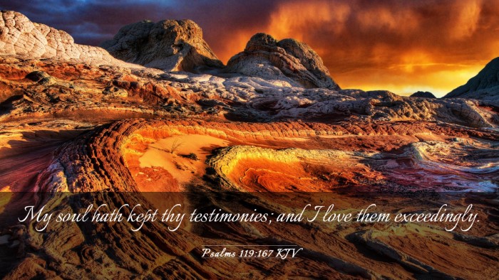 Picture 03 - Psalms 119:167 KJV Desktop Wallpaper - My soul hath kept thy testimonies; and I love - Desktop Bible Verse Wallpaper