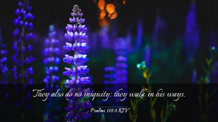 Picture 03 - Psalms 119:3 KJV Desktop Wallpaper - They also do no iniquity: they walk in his - Desktop Bible Verse Wallpaper