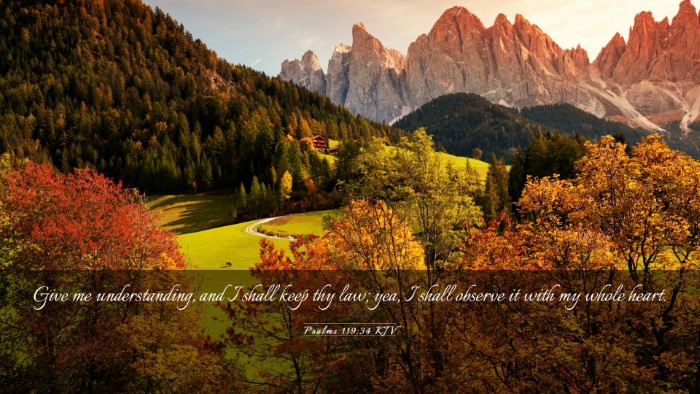 Picture 03 - Psalms 119:34 KJV Desktop Wallpaper - Give me understanding, and I shall keep thy law; - Desktop Bible Verse Wallpaper