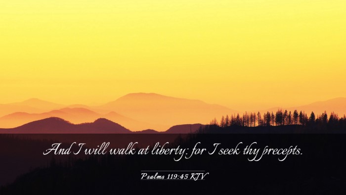 Picture 03 - Psalms 119:45 KJV Desktop Wallpaper - And I will walk at liberty: for I seek thy - Desktop Bible Verse Wallpaper
