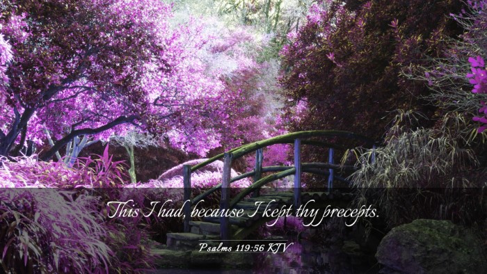Picture 03 - Psalms 119:56 KJV Desktop Wallpaper - This I had, because I kept thy - Desktop Bible Verse Wallpaper