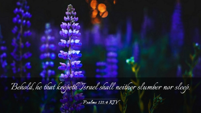 Picture 03 - Psalms 121:4 KJV Desktop Wallpaper - Behold, he that keepeth Israel shall neither - Desktop Bible Verse Wallpaper