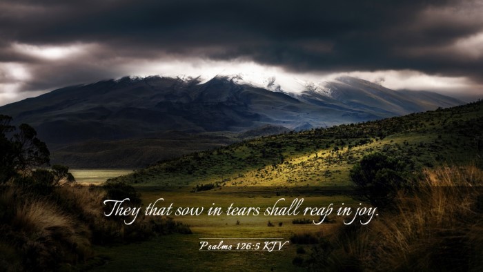 Picture 03 - Psalms 126:5 KJV Desktop Wallpaper - They that sow in tears shall reap in - Desktop Bible Verse Wallpaper
