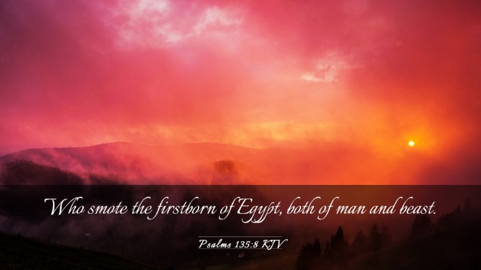 Picture 03 - Psalms 135:8 KJV Desktop Wallpaper - Who smote the firstborn of Egypt, both of man and - Desktop Bible Verse Wallpaper