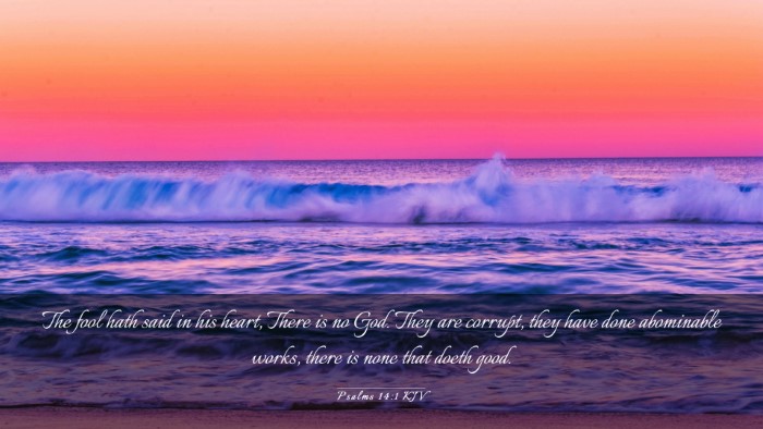 Picture 03 - Psalms 14:1 KJV Desktop Wallpaper - The fool hath said in his heart, There is no God. - Desktop Bible Verse Wallpaper