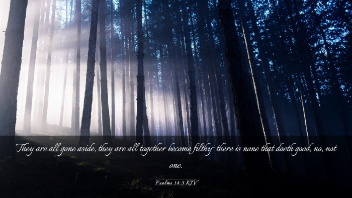 Picture 03 - Psalms 14:3 KJV Desktop Wallpaper - They are all gone aside, they are all together - Desktop Bible Verse Wallpaper