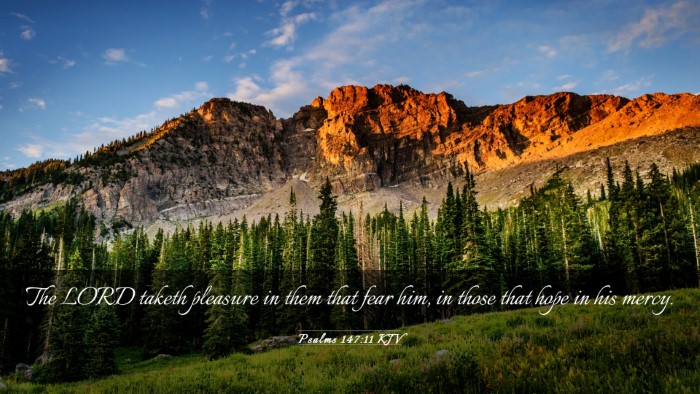 Picture 03 - Psalms 147:11 KJV Desktop Wallpaper - The LORD taketh pleasure in them that fear him, - Desktop Bible Verse Wallpaper