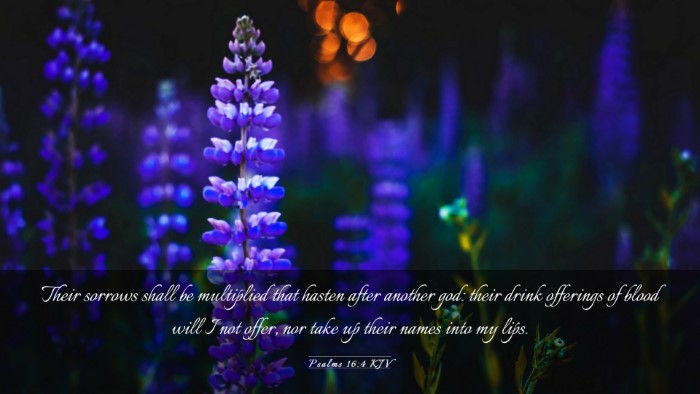 Picture 03 - Psalms 16:4 KJV Desktop Wallpaper - Their sorrows shall be multiplied that hasten - Desktop Bible Verse Wallpaper