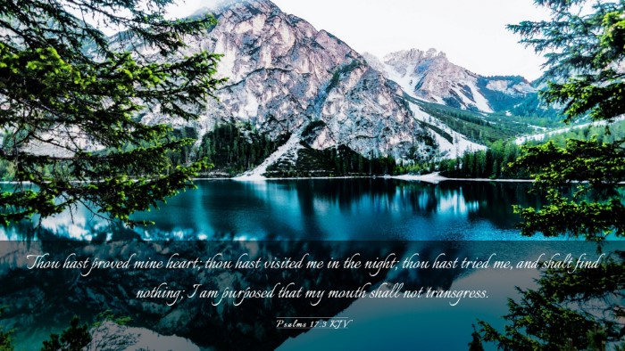 Picture 03 - Psalms 17:3 KJV Desktop Wallpaper - Thou hast proved mine heart; thou hast visited me - Desktop Bible Verse Wallpaper