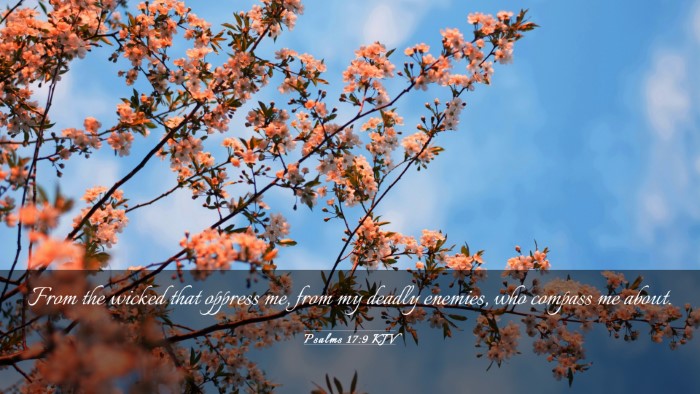 Picture 03 - Psalms 17:9 KJV Desktop Wallpaper - From the wicked that oppress me, from my deadly - Desktop Bible Verse Wallpaper