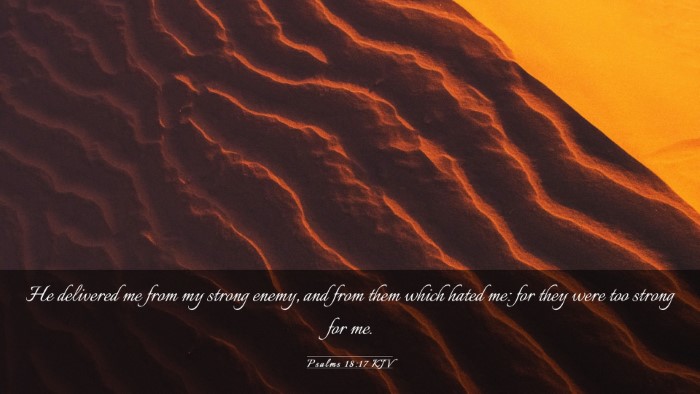 Picture 03 - Psalms 18:17 KJV Desktop Wallpaper - He delivered me from my strong enemy, and from - Desktop Bible Verse Wallpaper