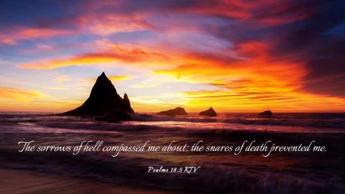 Picture 03 - Psalms 18:5 KJV Desktop Wallpaper - The sorrows of hell compassed me about: the - Desktop Bible Verse Wallpaper