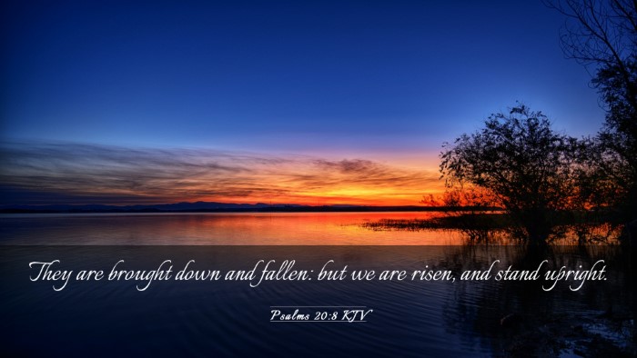 Picture 03 - Psalms 20:8 KJV Desktop Wallpaper - They are brought down and fallen: but we are - Desktop Bible Verse Wallpaper