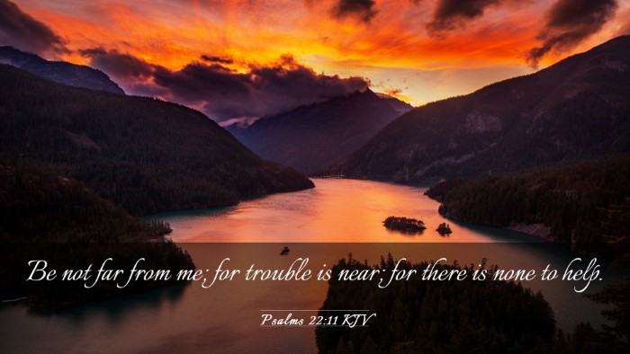 Picture 03 - Psalms 22:11 KJV Desktop Wallpaper - Be not far from me; for trouble is near; for - Desktop Bible Verse Wallpaper
