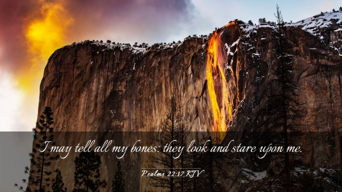 Picture 03 - Psalms 22:17 KJV Desktop Wallpaper - I may tell all my bones: they look and stare upon - Desktop Bible Verse Wallpaper
