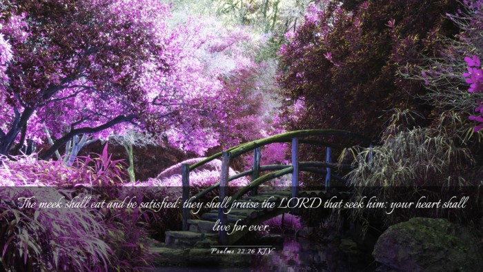 Picture 03 - Psalms 22:26 KJV Desktop Wallpaper - The meek shall eat and be satisfied: they shall - Desktop Bible Verse Wallpaper
