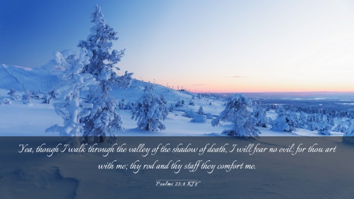 Picture 03 - Psalms 23:4 KJV Desktop Wallpaper - Yea, though I walk through the valley of the - Desktop Bible Verse Wallpaper