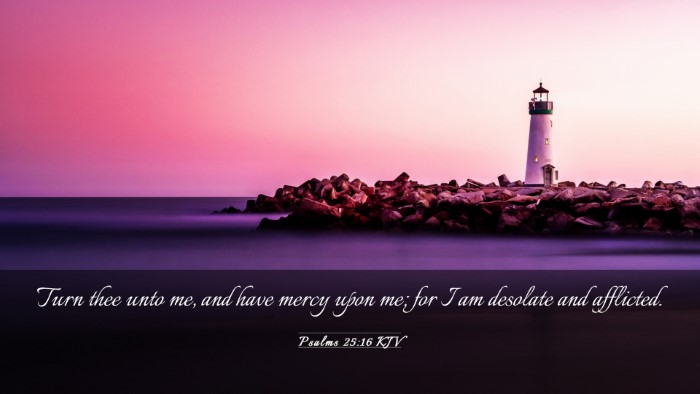 Picture 03 - Psalms 25:16 KJV Desktop Wallpaper - Turn thee unto me, and have mercy upon me; for I - Desktop Bible Verse Wallpaper
