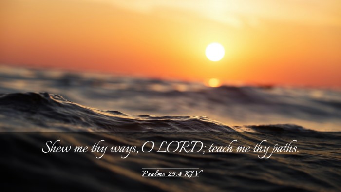 Picture 03 - Psalms 25:4 KJV Desktop Wallpaper - Shew me thy ways, O LORD; teach me thy - Desktop Bible Verse Wallpaper