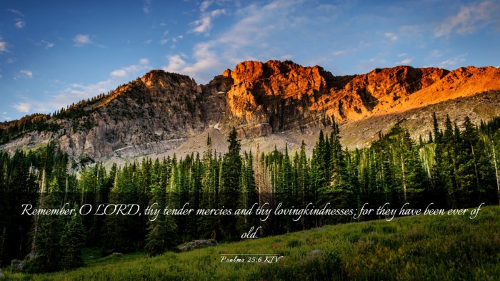 Picture 03 - Psalms 25:6 KJV Desktop Wallpaper - Remember, O LORD, thy tender mercies and thy - Desktop Bible Verse Wallpaper