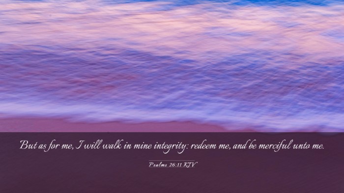 Picture 03 - Psalms 26:11 KJV Desktop Wallpaper - But as for me, I will walk in mine integrity: - Desktop Bible Verse Wallpaper