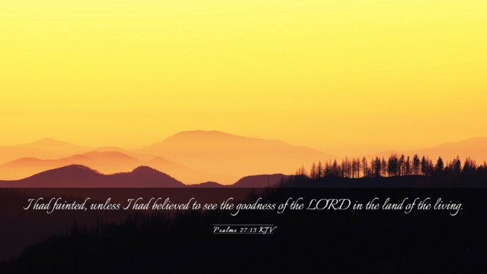 Picture 03 - Psalms 27:13 KJV Desktop Wallpaper - I had fainted, unless I had believed to see the - Desktop Bible Verse Wallpaper