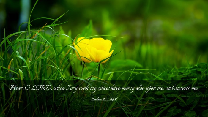 Picture 03 - Psalms 27:7 KJV Desktop Wallpaper - Hear, O LORD, when I cry with my voice: have - Desktop Bible Verse Wallpaper