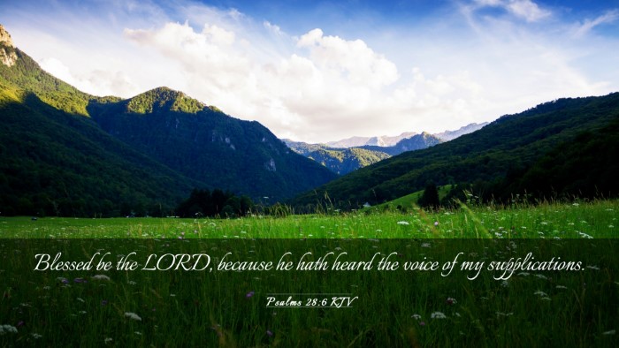 Picture 03 - Psalms 28:6 KJV Desktop Wallpaper - Blessed be the LORD, because he hath heard the - Desktop Bible Verse Wallpaper