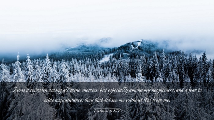 Picture 03 - Psalms 31:11 KJV Desktop Wallpaper - I was a reproach among all mine enemies, but - Desktop Bible Verse Wallpaper