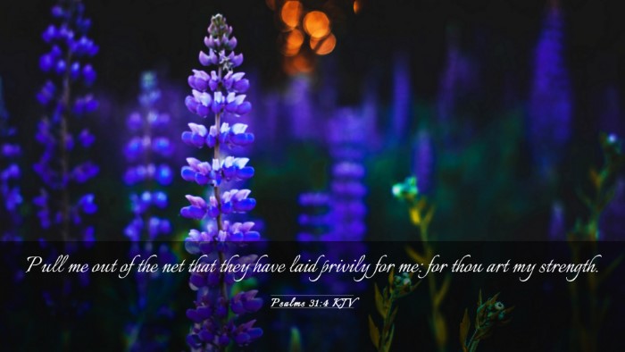 Picture 03 - Psalms 31:4 KJV Desktop Wallpaper - Pull me out of the net that they have laid - Desktop Bible Verse Wallpaper
