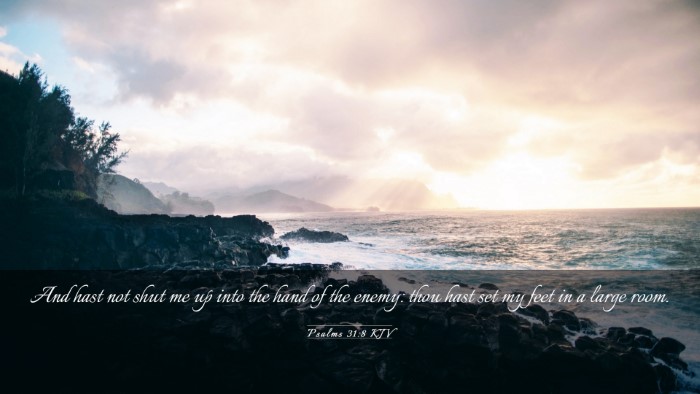 Picture 03 - Psalms 31:8 KJV Desktop Wallpaper - And hast not shut me up into the hand of the - Desktop Bible Verse Wallpaper