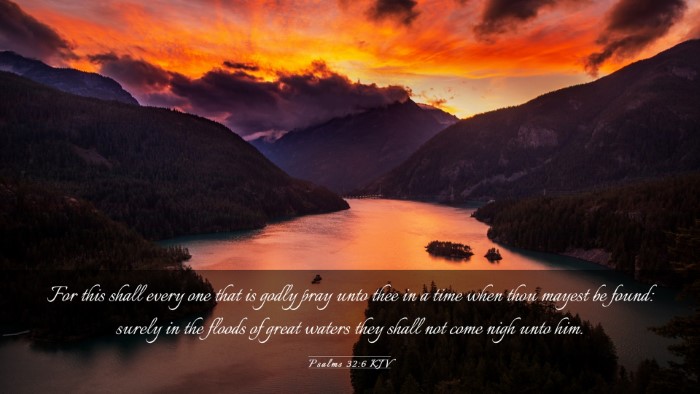 Picture 03 - Psalms 32:6 KJV Desktop Wallpaper - For this shall every one that is godly pray unto - Desktop Bible Verse Wallpaper