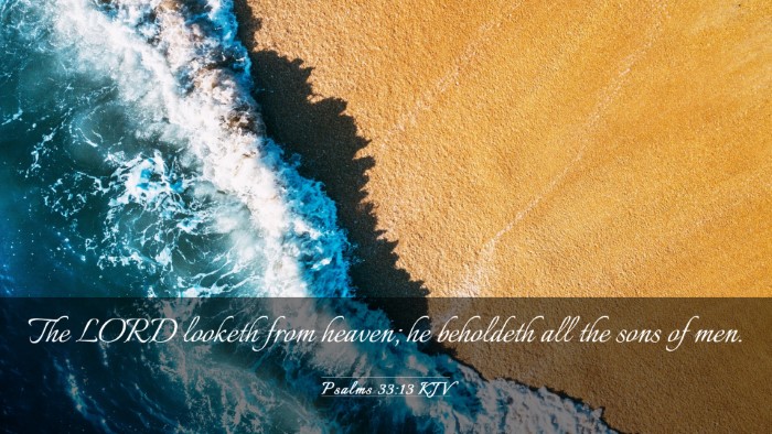 Picture 03 - Psalms 33:13 KJV Desktop Wallpaper - The LORD looketh from heaven; he beholdeth all - Desktop Bible Verse Wallpaper