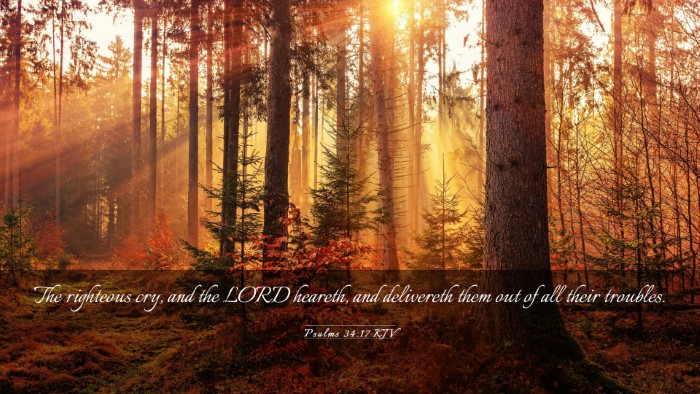 Picture 03 - Psalms 34:17 KJV Desktop Wallpaper - The righteous cry, and the LORD heareth, and - Desktop Bible Verse Wallpaper