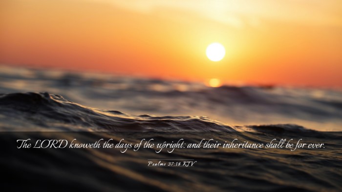 Picture 03 - Psalms 37:18 KJV Desktop Wallpaper - The LORD knoweth the days of the upright: and - Desktop Bible Verse Wallpaper