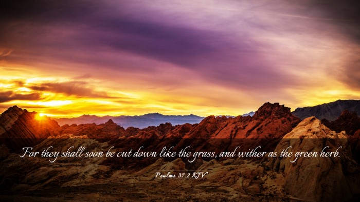 Picture 03 - Psalms 37:2 KJV Desktop Wallpaper - For they shall soon be cut down like the grass, - Desktop Bible Verse Wallpaper