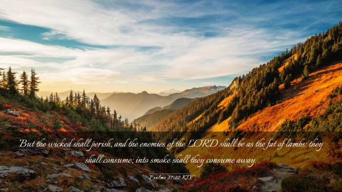 Picture 03 - Psalms 37:20 KJV Desktop Wallpaper - But the wicked shall perish, and the enemies of - Desktop Bible Verse Wallpaper