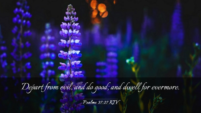 Picture 03 - Psalms 37:27 KJV Desktop Wallpaper - Depart from evil, and do good; and dwell for - Desktop Bible Verse Wallpaper