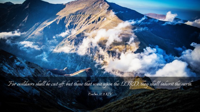 Picture 03 - Psalms 37:9 KJV Desktop Wallpaper - For evildoers shall be cut off: but those that - Desktop Bible Verse Wallpaper