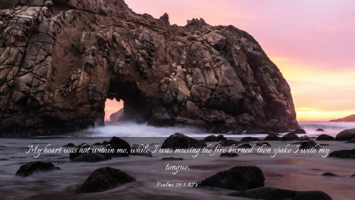 Picture 03 - Psalms 39:3 KJV Desktop Wallpaper - My heart was hot within me, while I was musing - Desktop Bible Verse Wallpaper
