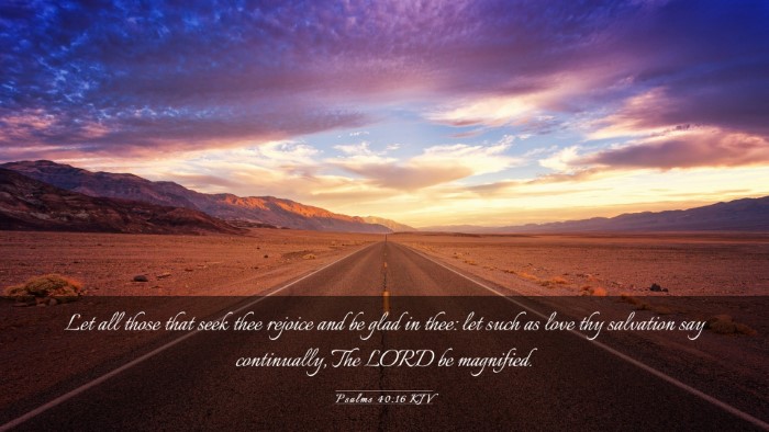 Picture 03 - Psalms 40:16 KJV Desktop Wallpaper - Let all those that seek thee rejoice and be glad - Desktop Bible Verse Wallpaper