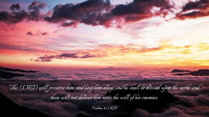 Picture 03 - Psalms 41:2 KJV Desktop Wallpaper - The LORD will preserve him, and keep him alive; - Desktop Bible Verse Wallpaper