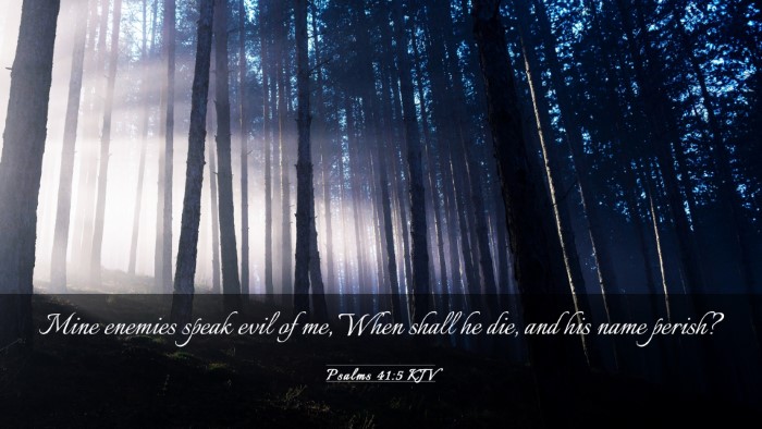 Picture 03 - Psalms 41:5 KJV Desktop Wallpaper - Mine enemies speak evil of me, When shall he die, - Desktop Bible Verse Wallpaper